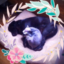 demonschnauzer avatar