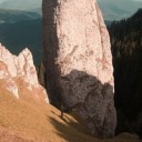 demonwolfsimblr avatar