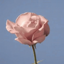 demurechatoyant avatar