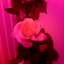 denatilyas-blog avatar