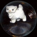 denbyz avatar