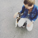 dendrobuim-blog avatar