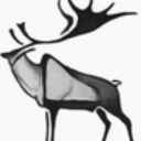 dendrochilums avatar