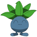 dendrophile avatar
