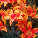 denis-pashistiy-blog avatar