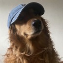 denise-elviras avatar