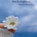 denize-dusenyildizlar avatar