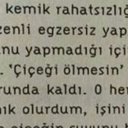 denizgkn-blog avatar