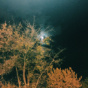 denizkenarimisafiri avatar