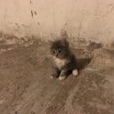 denizyokdalgalarda avatar