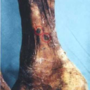 dentenero-blog avatar