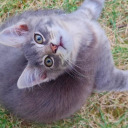 deny-the-feel avatar