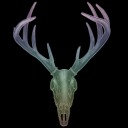 deny-the-issue avatar