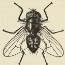 deny3verything avatar