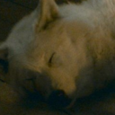 depends-on-the-sellsword avatar