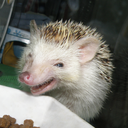 depkoidniliskoun avatar