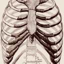 depressed-and-thin avatar