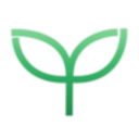 depressed-fern avatar