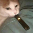 depressedcarb avatar