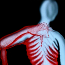 depresseddemon69 avatar