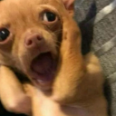 depressedhoe1205 avatar