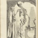 depressedshipper avatar