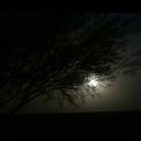 depressinglyeuphoric avatar