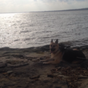 depression-can-kill-you avatar