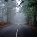 depressionandanxiety avatar