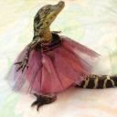 depressiondaddy666 avatar