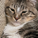 depressionexpression avatar