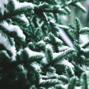 depressionsuccsblog avatar