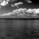 depressiontoxins-blog-blog avatar