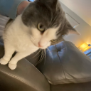 depressionwhosshe avatar