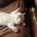 depressivelittlebox avatar