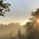 der-letzte-spielmann avatar