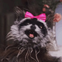 deranged-souls avatar