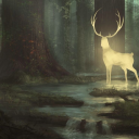 derinbirokyanust avatar