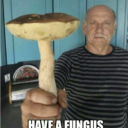 dermetzgermeist3r avatar