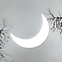 dermondistaufgegangen avatar