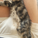 derplansstuff avatar