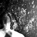 dersilberreiter avatar