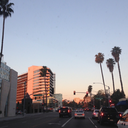 desaturatedsunrise avatar