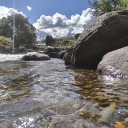 desconfianza-destrozada avatar