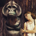 descrayonsetdescouleurs avatar