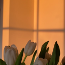 deseoqueseasfeliz avatar