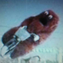 desert-bouquet avatar