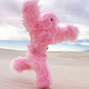 desert-dreamer avatar