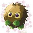 desert-feather avatar