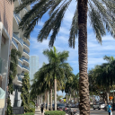 desert-rainstuff avatar